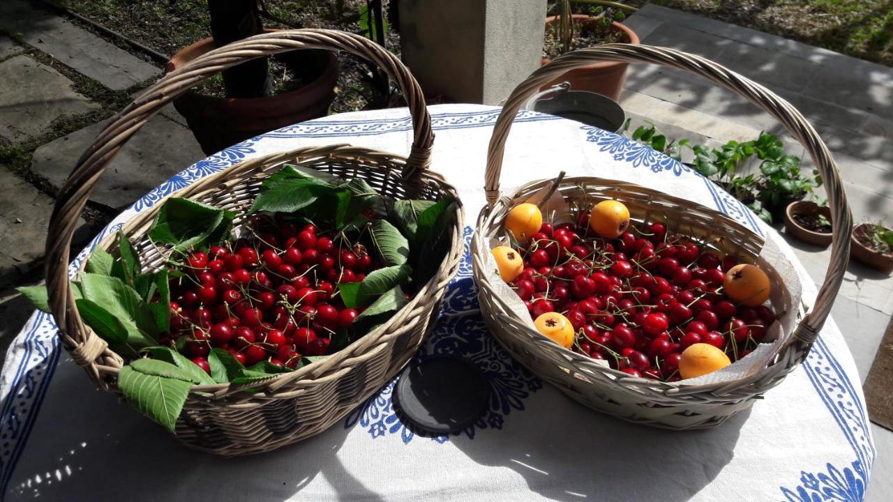 The Italian Riviera Bed & Breakfast San Salvatore  Luaran gambar